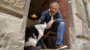 f kedi0