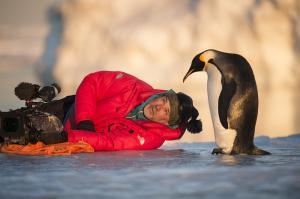 f Pinguine2