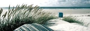 u amrum