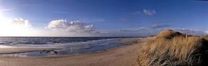 u sylt1