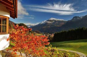 u chiemgau