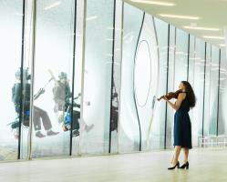 m Elbphilharmonie Window Waltz 1 C Christopher Koch