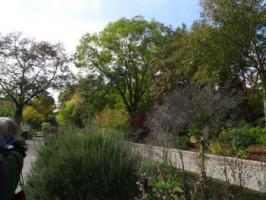 Botanischer Garten opt DSC00836