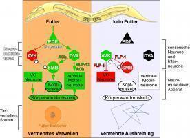 uni 3 deutsch