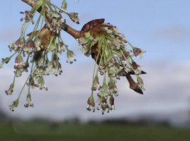 Bildschirmfoto 2019 04 18 um 04.15.59