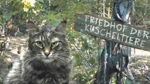 f friedhof4
