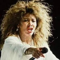 a tinaturner