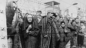 f auschwitz3