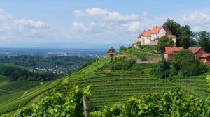 4 Durbach Weingut Schloss Staufenberg