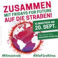 p fridaysforfuture.de