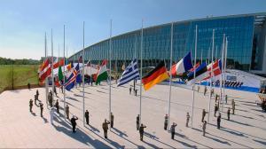 zdf nato