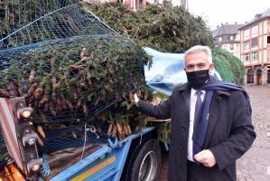 Oberbuergermeister Feldmann und der Weihnachtsbaum am Roemer Foto Rainer Rueffert