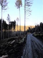 20201118 151140 4 bereinigt