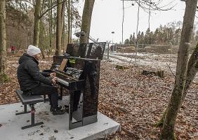 Igor Levit im Dannenroder Forst