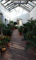 Neue Orangerie Bethmannpark Copyright Umweltamt Frankfurt