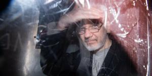 assange taz