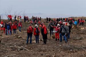 f 1Die Rote Linie 1