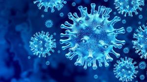 Coronavirus baua.de