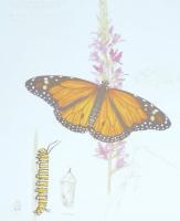Monarch