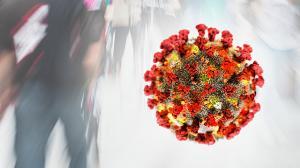 kpm Coronavirus