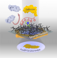 Uni Nanomembran