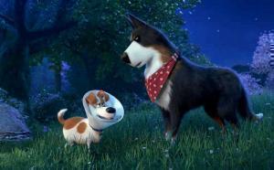 Pets2 TV2
