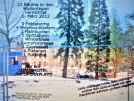 Bäume fällen Wallanlage bereinigt3
