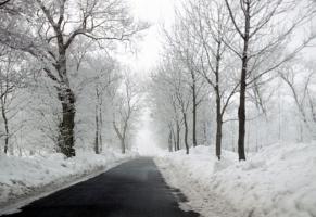 Januar 1979 in Butjadingen