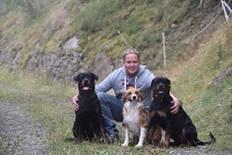 dei hunde
