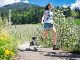 laufen mit hund