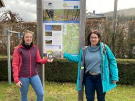 Foto 1 Strickfaden und Reitze Lotz Zoller