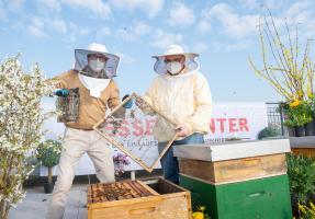 Hessen Center Hausbienen 2021 9