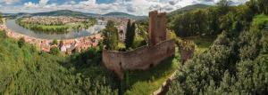 Mildenburg Miltenberg