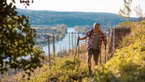 Frankischer Rotwein Wanderweg Klingenberg