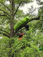 Dicke Raupe Installation Mitarbeiter Gruenflaechenamt copyright Stadt Frankfurt am Main Rainer Vollweiter