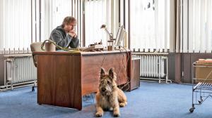 soerensenhatangst118 v fullhd