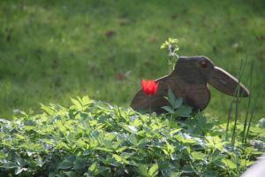 Rabe mit Tulpe