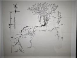 20220108 124612 3 bereinigt