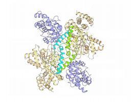 pm 04 krankenhauskeim MannitolSynthesizingEnzyme KlaasMartinusPos