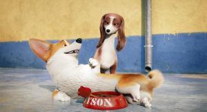 Royal Corgi TV2