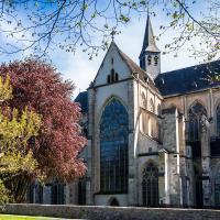 altenberger dom