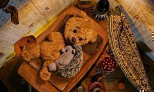 Weihn Teddy BD3