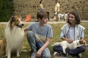 Lassie2 BD2