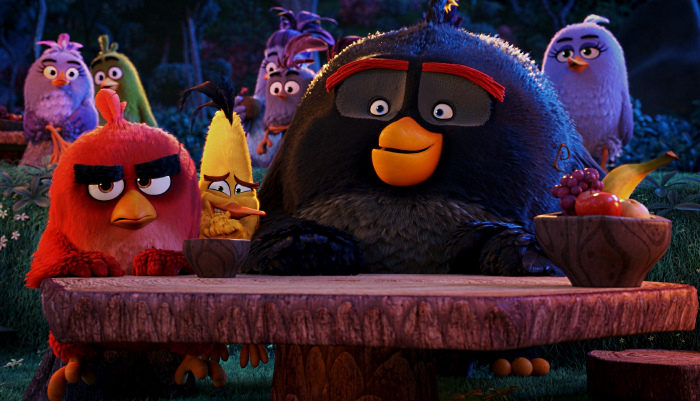 Angry Birld TV1