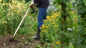 gartenarbeit stefan cop COP7085