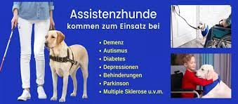 pflege durch angenhorige