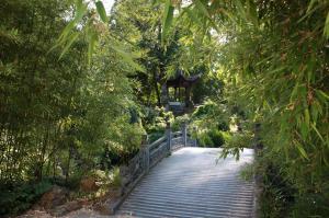 Kuehler Ort Chinesischer Garten Copyright Gesundheitsamt Frankfurt am Main