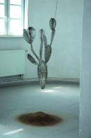 Micha Fuchs 2916