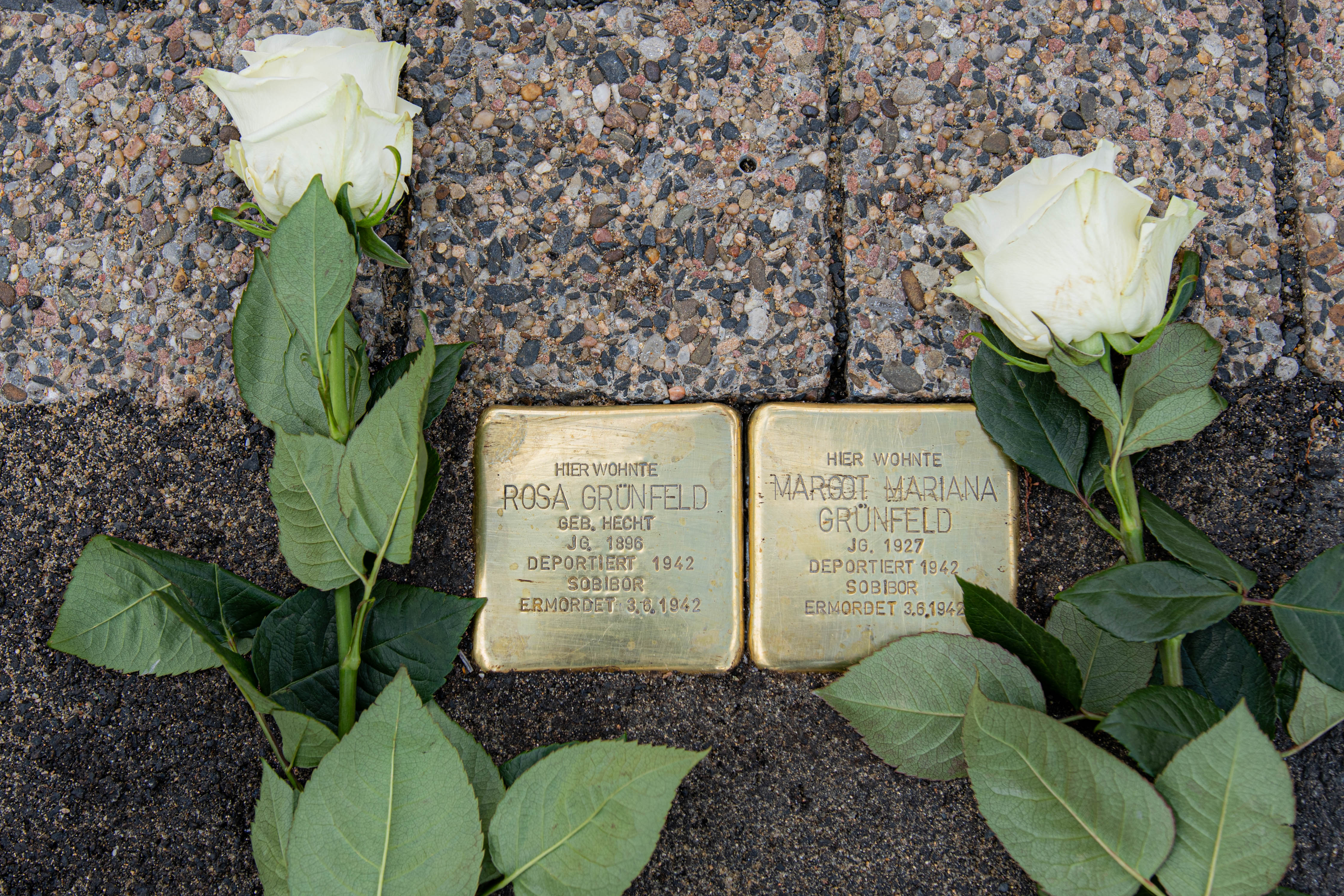 Stolpersteine 2023 1352