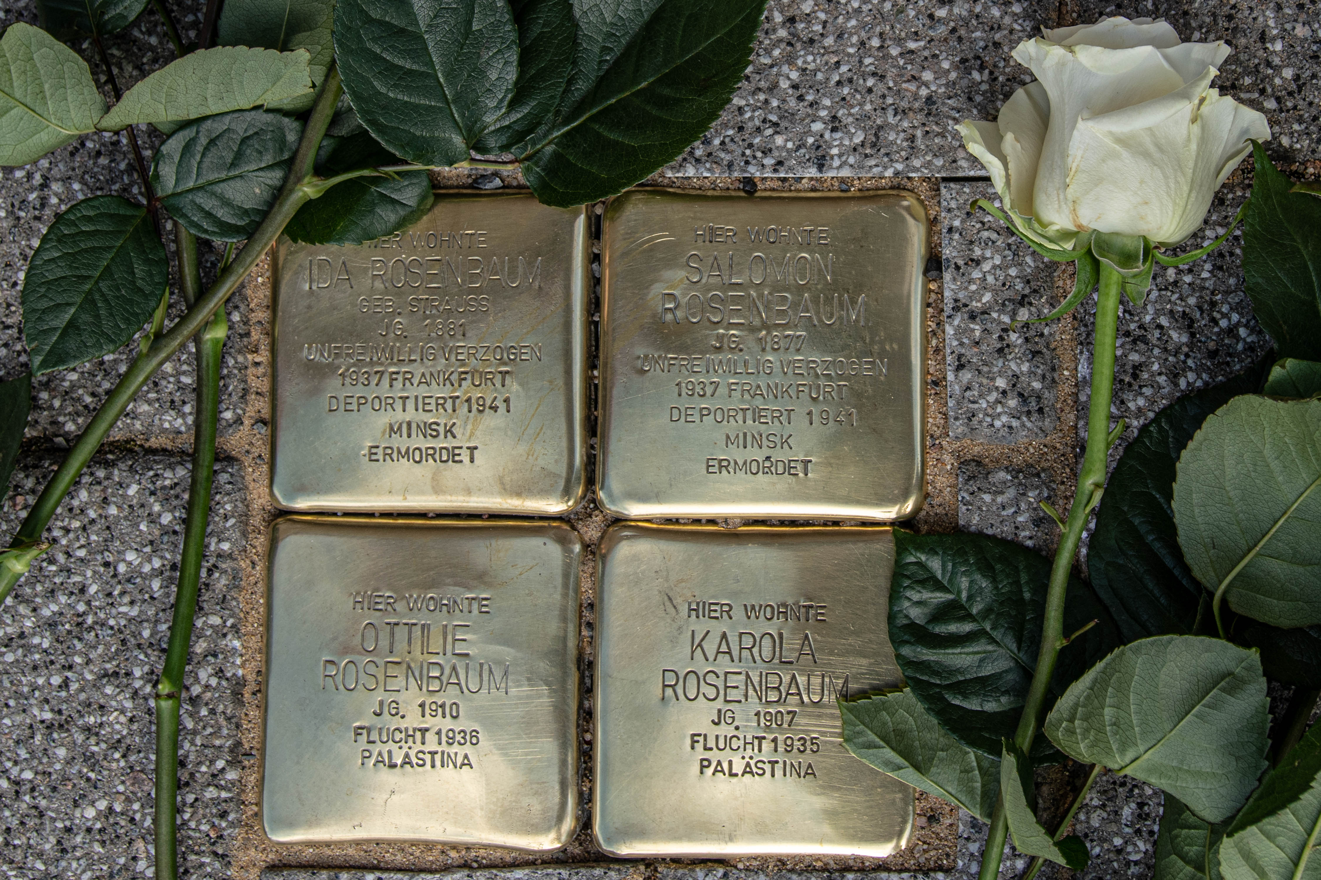 Stolpersteine 2023 1398